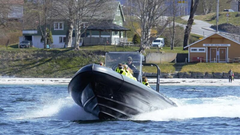 Måløy: RIB Boat Safari - Practical Details: What to Bring and Who Should Avoid
