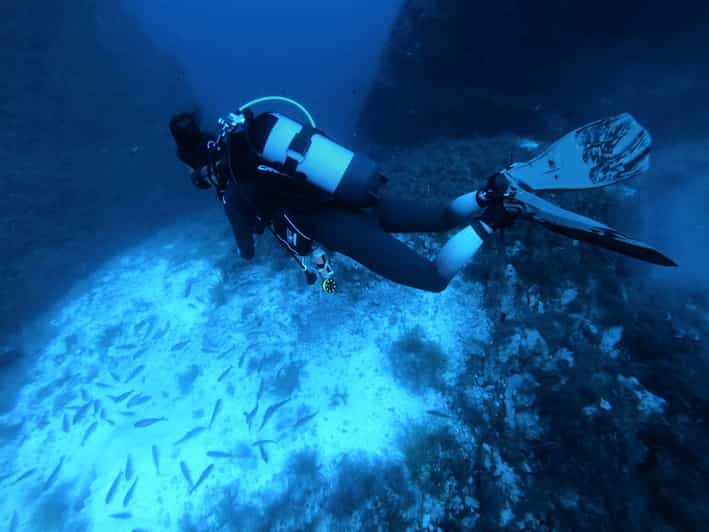 Malta: 2 Scuba Fun Dives for Certified divers - Key Points