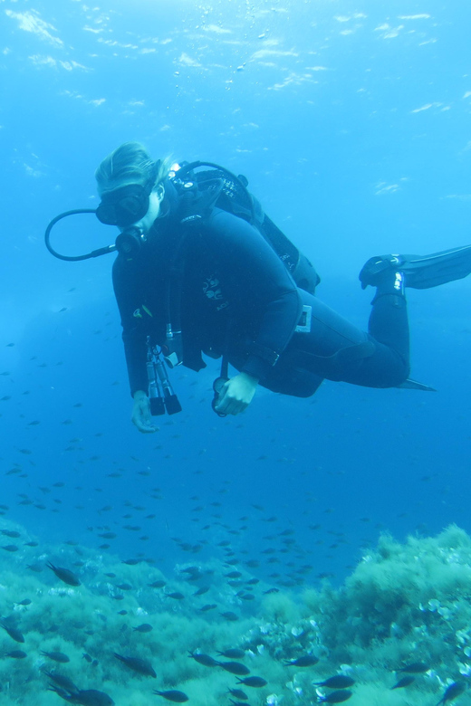 Malta: 2 Scuba Fun Dives for Certified divers - The Value and Experience You Gain