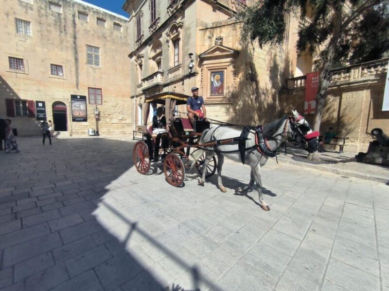 Malta: Ancient Wonders, Coastal Charms, and Cities Tour - Expert Guidance and Multilingual Audio Guides