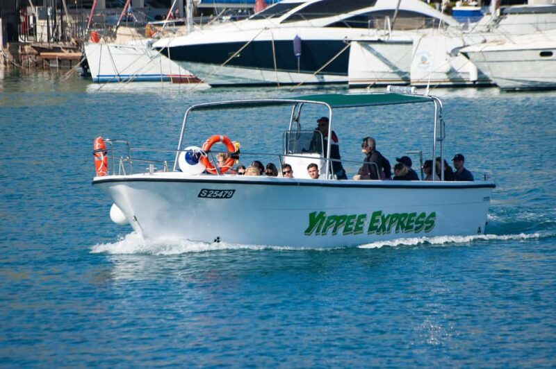 Malta: Blue Lagoon, Comino, & Gozo Boat Cruise - Physical Requirements and Accessibility