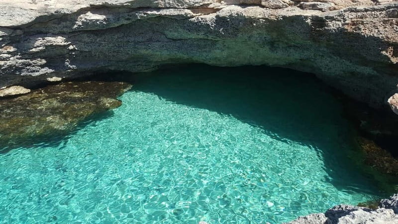 Malta: Comino+ Santa Maria Bay, Blue Lagoon + Seacaves tour - Onboard Facilities and Food Options
