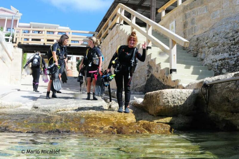 Malta: Discover Scuba Diving 2 Dives With Shipwreck Dive - Exploring Malta’s Marine Life in Shallow Water