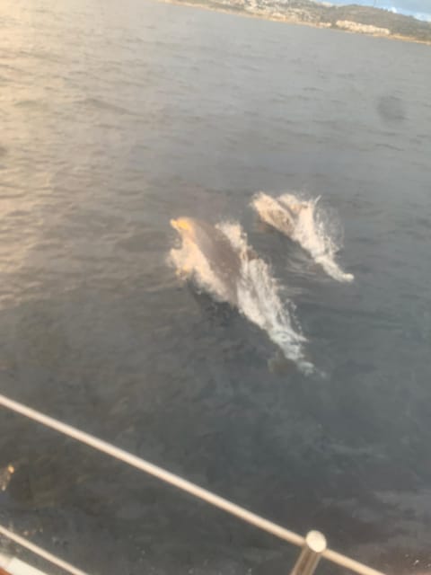 Malta Gozo Comino: Full Day Sailing Charter - Key Points