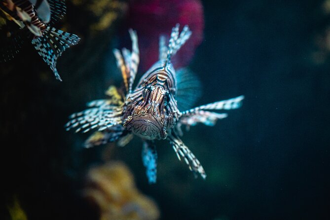 Malta National Aquarium Entrance Ticket - Practical Tips for Visiting