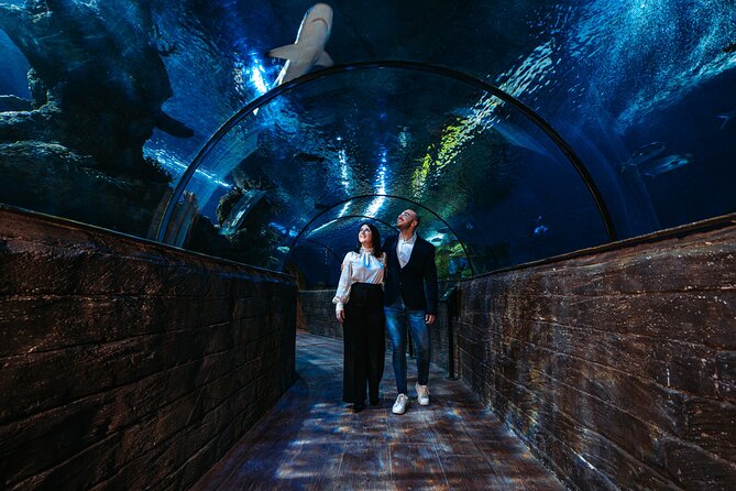 Malta National Aquarium Entrance Ticket - Accessibility and Visitor Experience