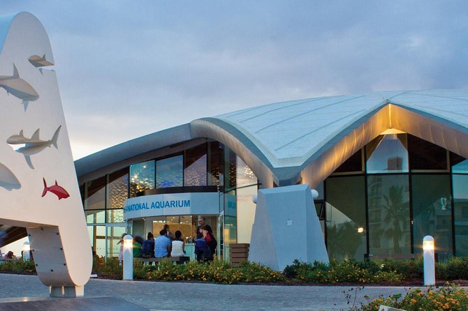 Malta Private Minivan Tour: Popeye village/Mdina/Valletta & Many More - Enthusiastic Guides and Customer Feedback