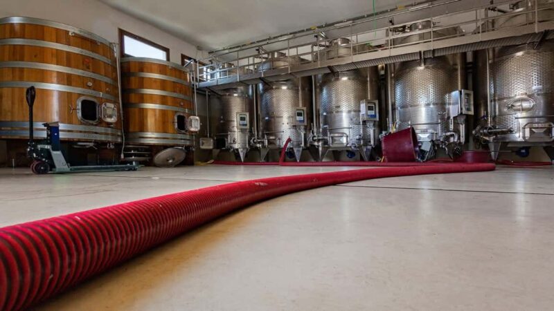 Mamoiada: visit a winery with wine tasting - Discover Sardinian Wine in Mamoiada: A 2-Hour Winemaking Experience with Tasting