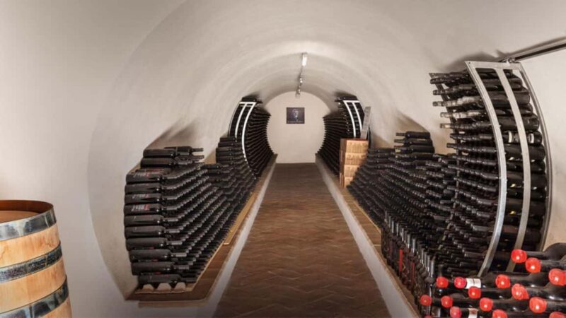 Mamoiada: visit a winery with wine tasting - Tasting Five Local Wines: Cannonau and Granatza Included