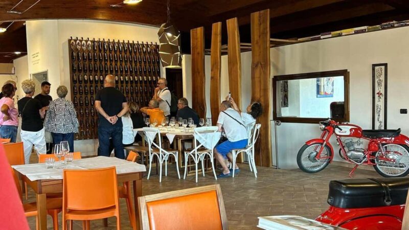 Mamoiada: visit a winery with wine tasting - Wine Choices and Dietary Flexibility