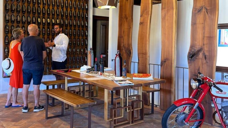 Mamoiada: visit a winery with wine tasting - Accessibility and Practical Details