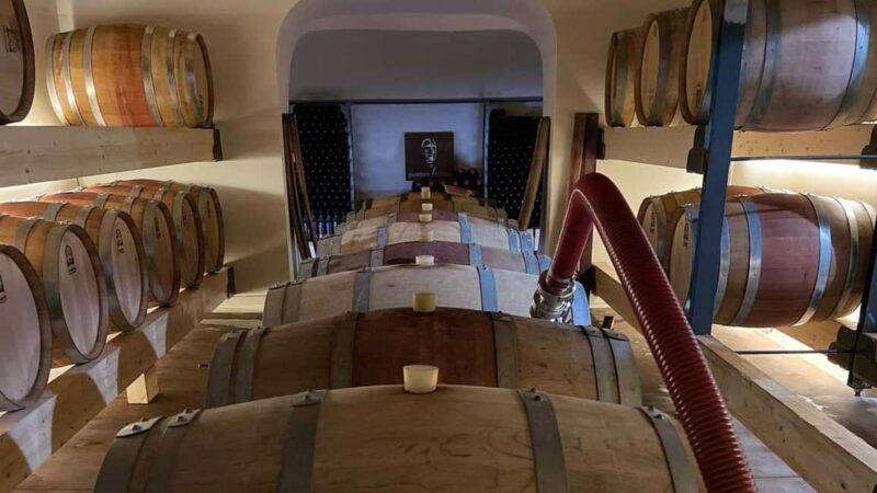 Mamoiada: visit a winery with wine tasting - Why This Tour Stands Out in Sardinia