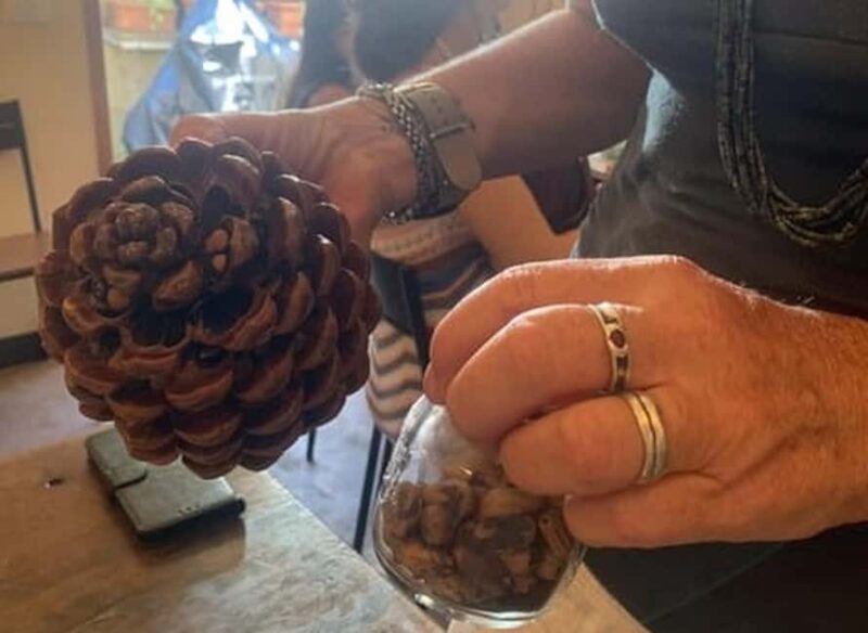 Manarola: Authentic Pesto Making Class at Cinque Terre - The Verdict: An Authentic Taste of Liguria