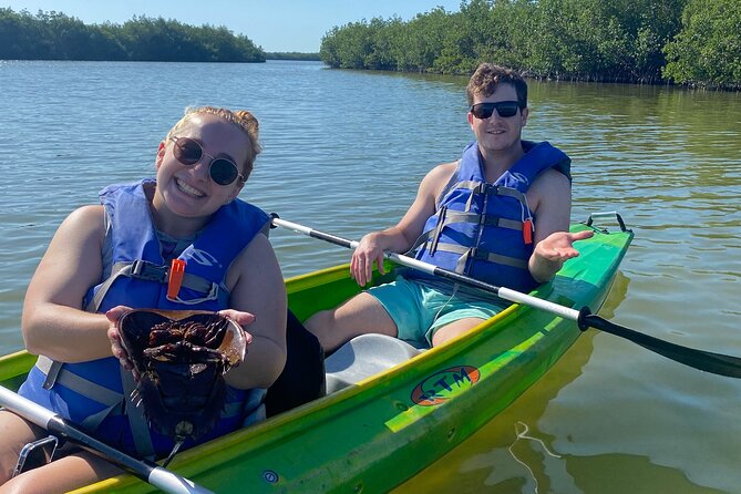 Manatee and Dolphin Kayak Tour - The Experience: Close Encounters with Marine Wildlife