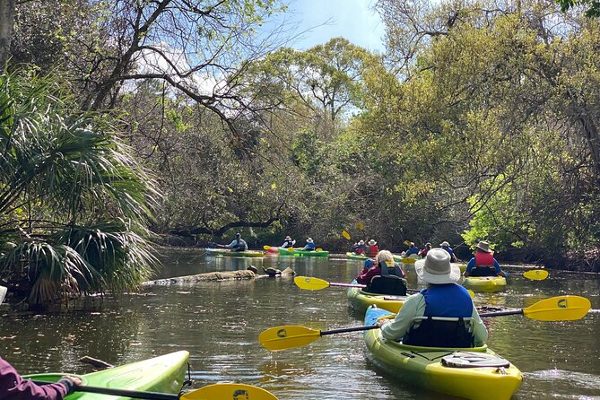 Manatee and Dolphin Kayak Tour - Weather Policy and Cancellation Flexibility