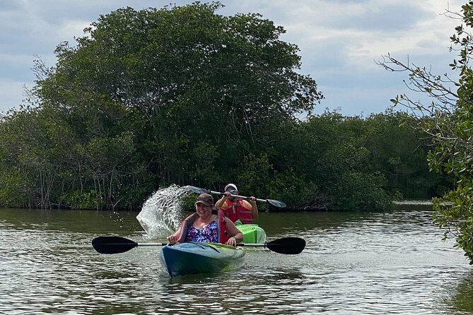 Manatee and Dolphin Kayak Tour - Comparing This Tour to Similar Options