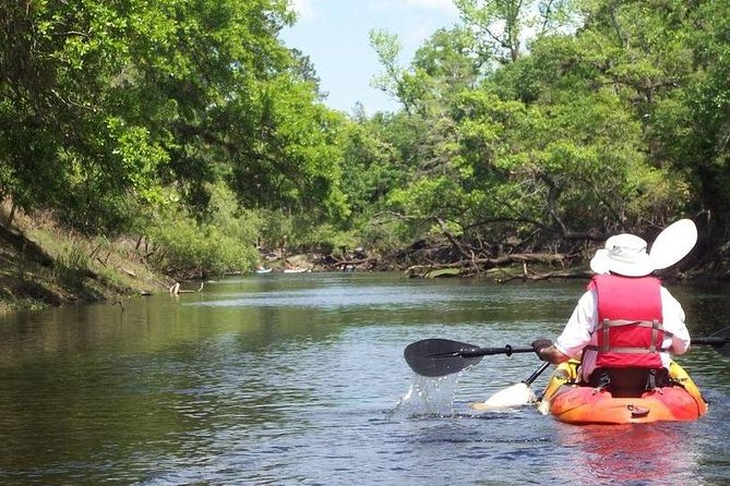 Manatee and Dolphin Kayaking Encounter - Starting Point at Haulover Canal Kayak Launch