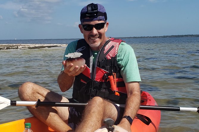 Manatee and Dolphin Kayaking | Wildlife Refuge (Titusville) - Family-Friendly Adventure and Practical Tips