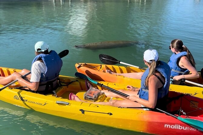 Manatee Discovery Anna Maria Island - Wildlife Sightings: Manatees, Dolphins, and More