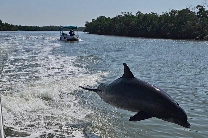 Manatee, Dolphin, and 10,000 Islands Eco Beach Tour by Boat - Discover the Manatee, Dolphin, and 10,000 Islands Eco Beach Tour by Boat