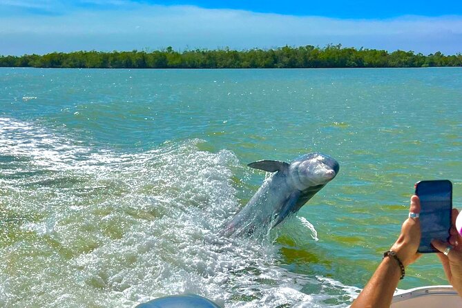 Manatee, Dolphin and 10,000 Islands Sunset Cruise! - Value and Considerations for Potential Guests