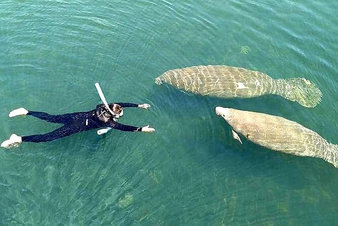 Manatee Magic Private 3 Hour Swim Heated Boat with Restroom - Practical Aspects of Booking and Participation