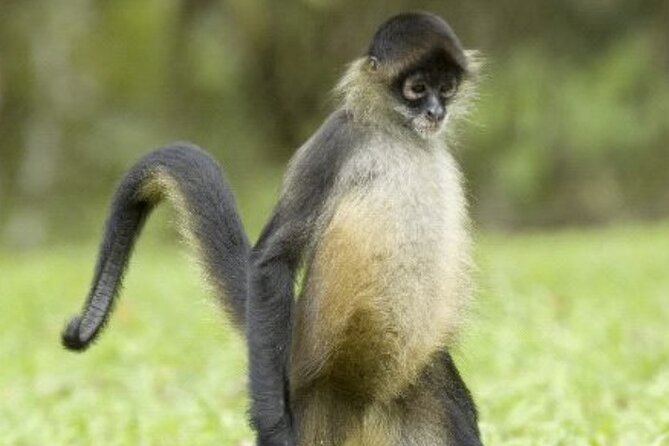 Manatee Magic Private 3 Hour Swim Heated Boat with Restroom - Weather Considerations and Cancellation Policy