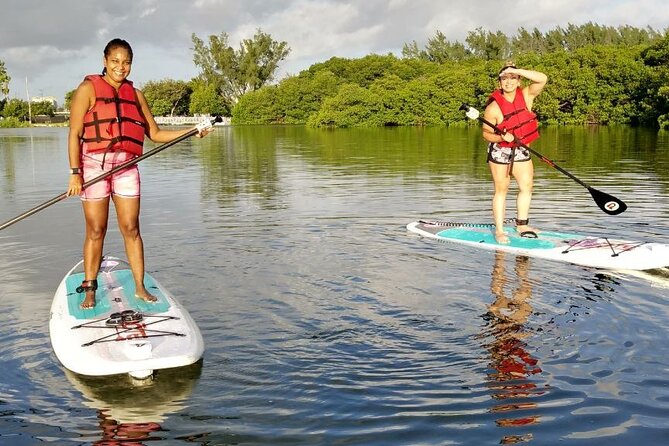 Manatee Season Guided Paddle Tour from Virginia Key - Expert Guides Bring Knowledge and Safety to the Water