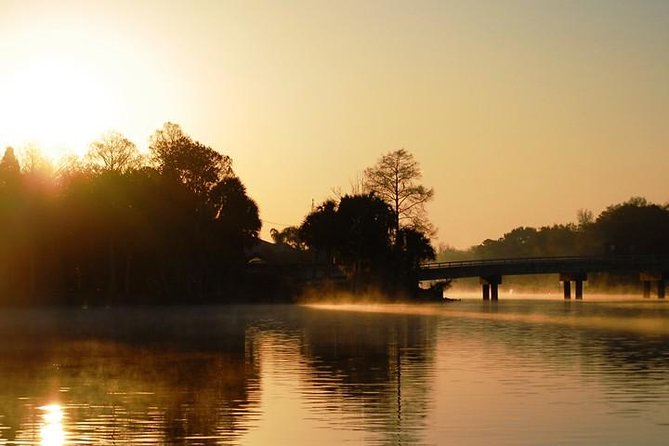 Manatee Snorkel Tour from American Pro Diving Center - Discover the Manatee Snorkel Adventure at American Pro Diving Center