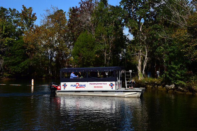 Manatee Snorkel Tour - Small Group - Key Points