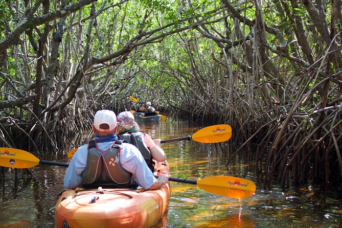 Manatees and Mangrove Tunnels Small Group Kayak Tour - Wildlife Encounters in the Winter Canal Congregations