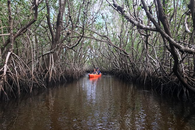 Manatees and Mangrove Tunnels Small Group Kayak Tour - Safety, Equipment, and Physical Considerations