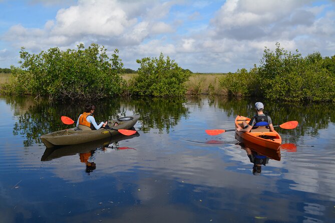 Manatees, Grasslands and Mangroves kayak Tour (Small Group Tour) - Unique Focus on Manatee Encounters