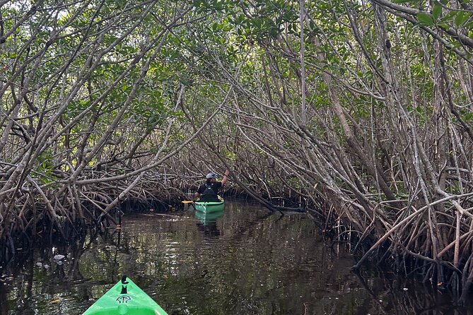 Manatees, Grasslands and Mangroves kayak Tour (Small Group Tour) - Practical Details and Logistics for the Trip