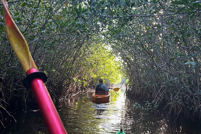 Manatees, Grasslands and Mangroves kayak Tour (Small Group Tour) - What Sets This Tour Apart from Other Wildlife Kayaking Experiences