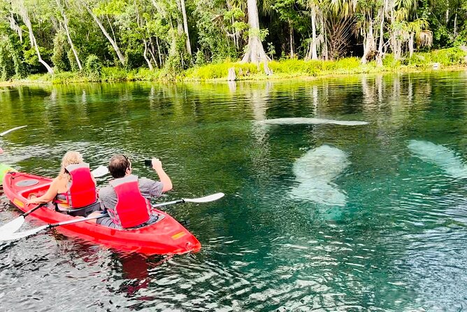 Manatees, Monkeys and Florida Natural Spring Adventure Tour - Navigating the Crystal Clear Waters of Silver Springs