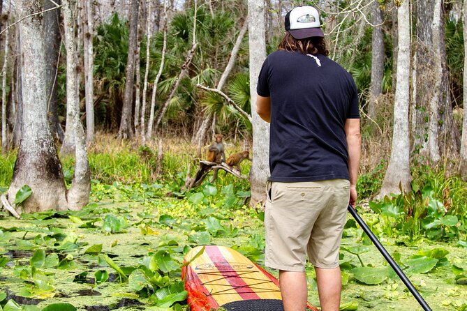 Manatees, Monkeys and Florida Natural Spring Adventure Tour - Paddling Experience and Instruction