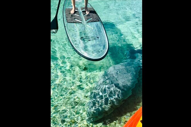 Manatees, Monkeys and Florida Natural Spring Adventure Tour - Practical Details: Booking, Group Size, and Cancellation