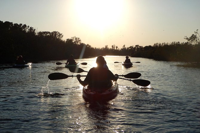 Manatees/Sunset/Bioluminescence Tour - Fascinating Kayak Adventure in Cocoa Beach: Manatees, Sunset Birds, and Bioluminescence