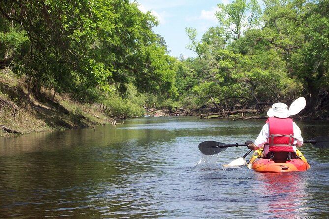Manatees/Sunset/Bioluminescence Tour - Nighttime Bioluminescence and Star Gazing