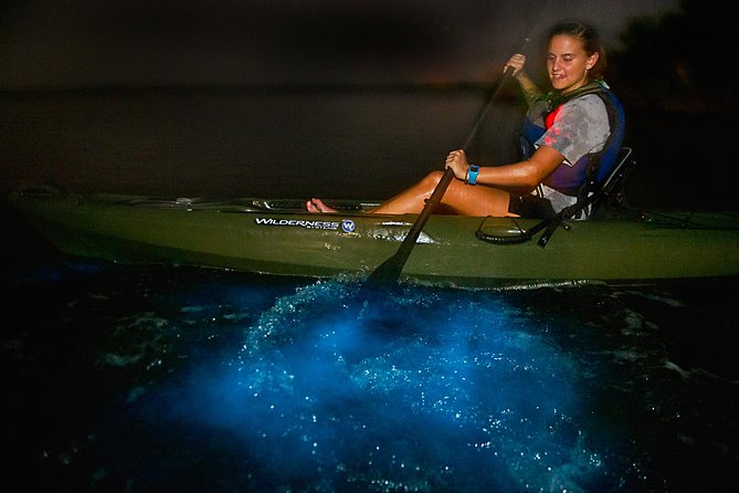 Manatees/Sunset/Bioluminescence Tour - Equipment and Safety Measures