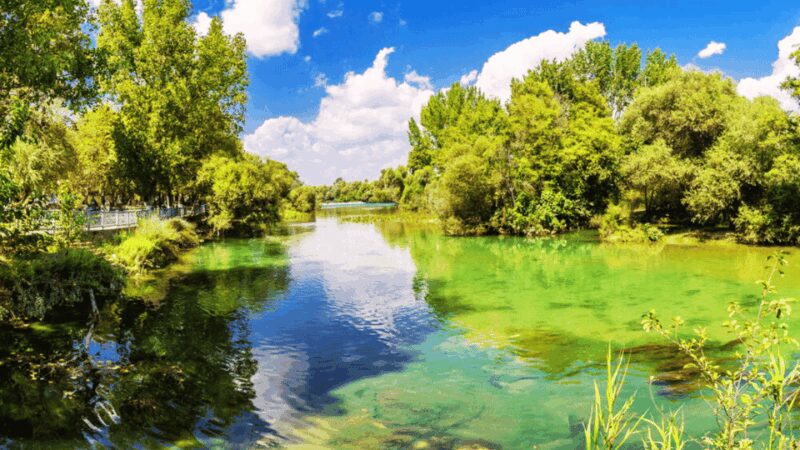 Manavgat River Cruise With Waterfall & Bazaar Tour - Discover the Manavgat River Cruise with Waterfall and Bazaar in Antalya