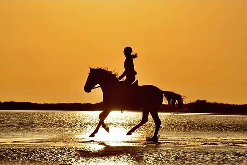 Manavgat Side: Horse Riding on the Beach and in the Forest - Discover the Charm of Horseback Riding in Side, Turkey