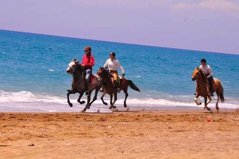 Manavgat Side: Horse Riding on the Beach and in the Forest - Key Points