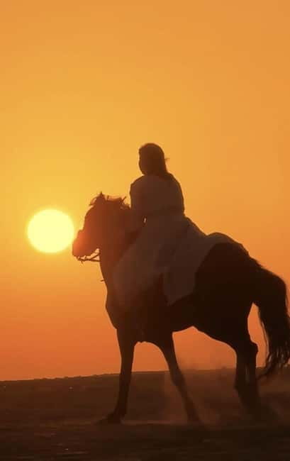 Manavgat Side: Horse Riding on the Beach and in the Forest - Safety and Comfort with Professional Guides