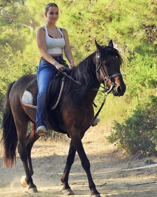 Manavgat Side: Horse Riding on the Beach and in the Forest - The Experience of Meeting Friendly Horses