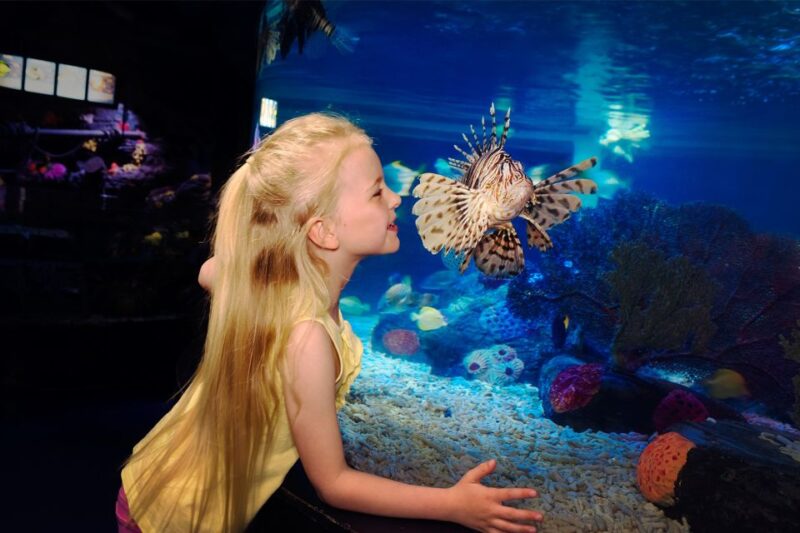 Manchester: SEA LIFE Entrance Ticket - The Interactive Rockpool Experience