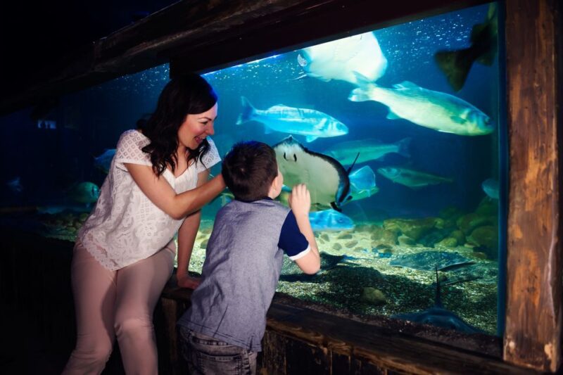 Manchester: SEA LIFE Entrance Ticket - Reviews and Visitor Feedback