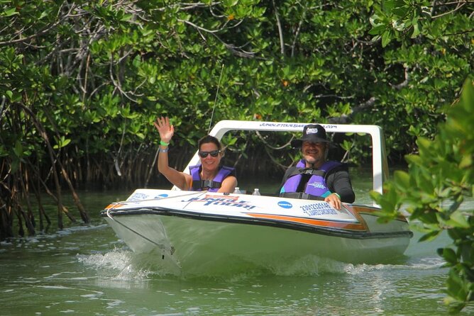 Mangrove and Lagoon Speed Boat Tour - Key Points