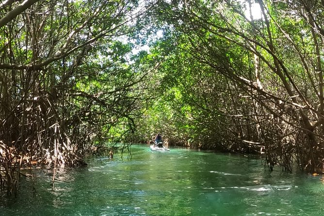 Mangrove and Lagoon Speed Boat Tour - Explore Lagoon Nichupte and the Hotel Zone from the Water
